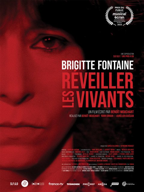 AFFICHE_BRIGITTE_FONTAINE